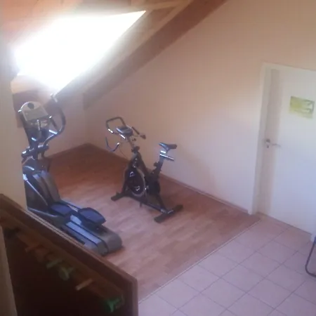 雷根斯堡索拉英瑟尔酒店 酒店 雷根斯堡