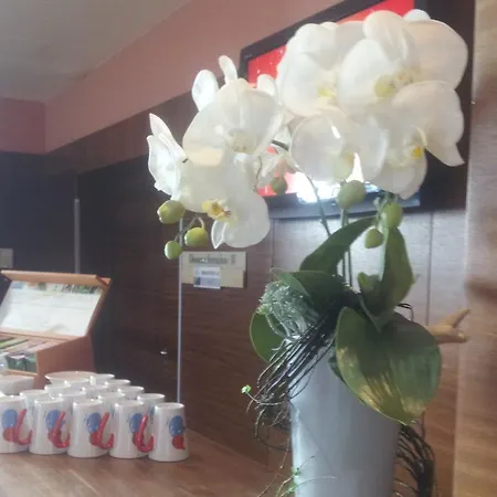 Sorat Insel-hotel Регенсбург
