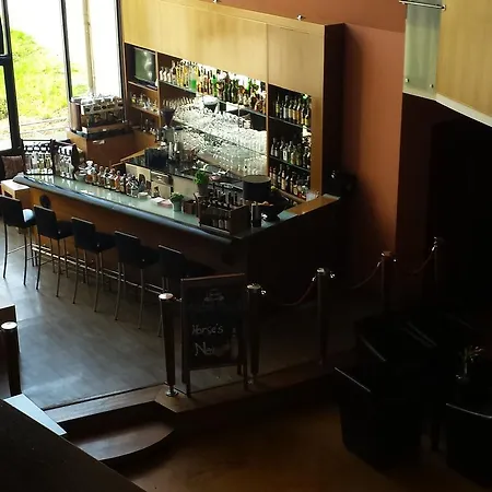 Sorat Insel-hotel 4* Řezno